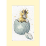 Bothy Threads  greating card counted cross stitch kit "Peek-a-boo", XGC48, 10x16 Model