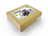 Ma.K Rainbow Egg SF3D 1/20 Scout Flier Prototype Pigeon Resin/Plastic Kit MK-10 Model