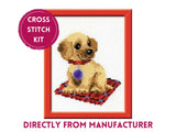 RIOLIS Counted Cross Stitch Kit HB067 Puppy- Little Brown Dog kit for Begginers Model
