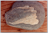 Vintage Photo Smooth Gray Stone Natural Inclusion Pattern on Cedar Wood Plank Model
