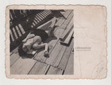 Attractive Young Bikini Woman Rests On Wooden Boards Letting Her Body Go Soft Model