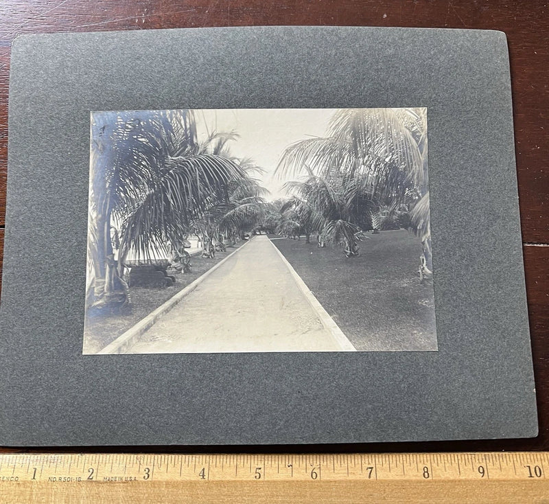 Photo on Board, BIKE PATH PALM BEACH , 8X10 Including Board Model