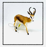 CollectA - Springbok Antelope 88684 - Wildlife Toy Figurine - 3" x 3" - New!! Model